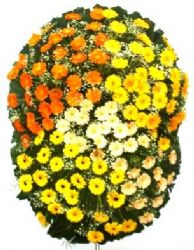 Floricultura: Coroa de Flores São Bernardo e Diadema