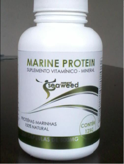 algas marinhas marine protein seaweed