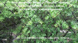 Redes de Proteção no Campo Limpo, Redes na Rua Jacob Medeiros de Miranda, (11) 5524-7412, janelas, sacadas, 